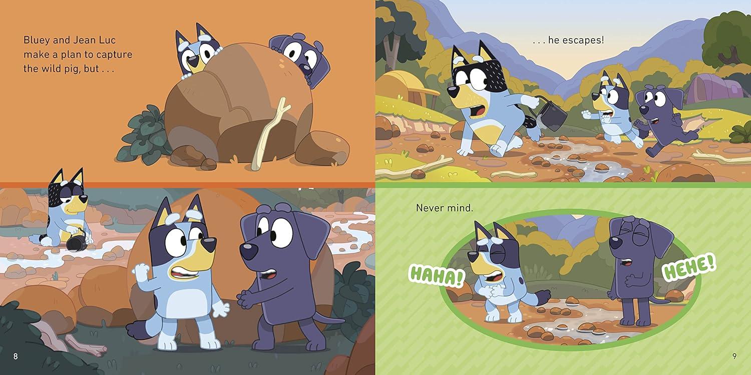 imageBluey Camping
