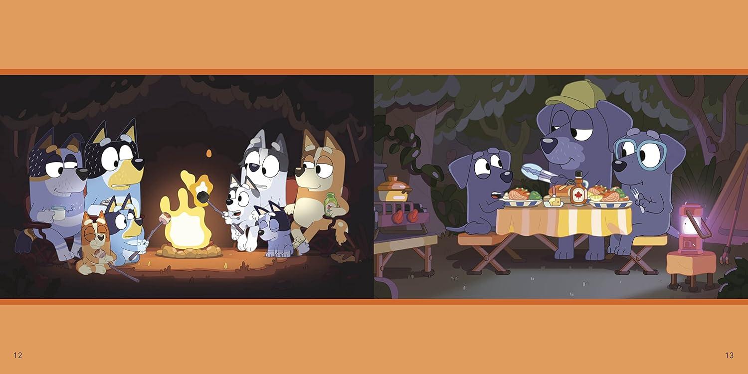 imageBluey Camping