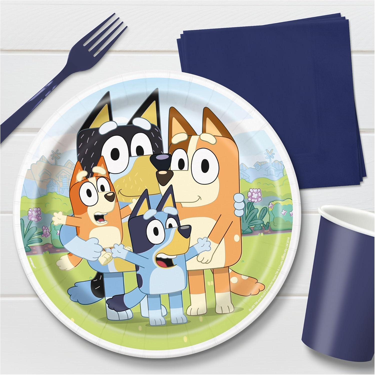 imageHOME ampamp HOOPLA Bluey Party Supplies Bluey Theme Birthday Party Round Paper Dinner Plates and Lunch Napkins 16 Plates and napkins