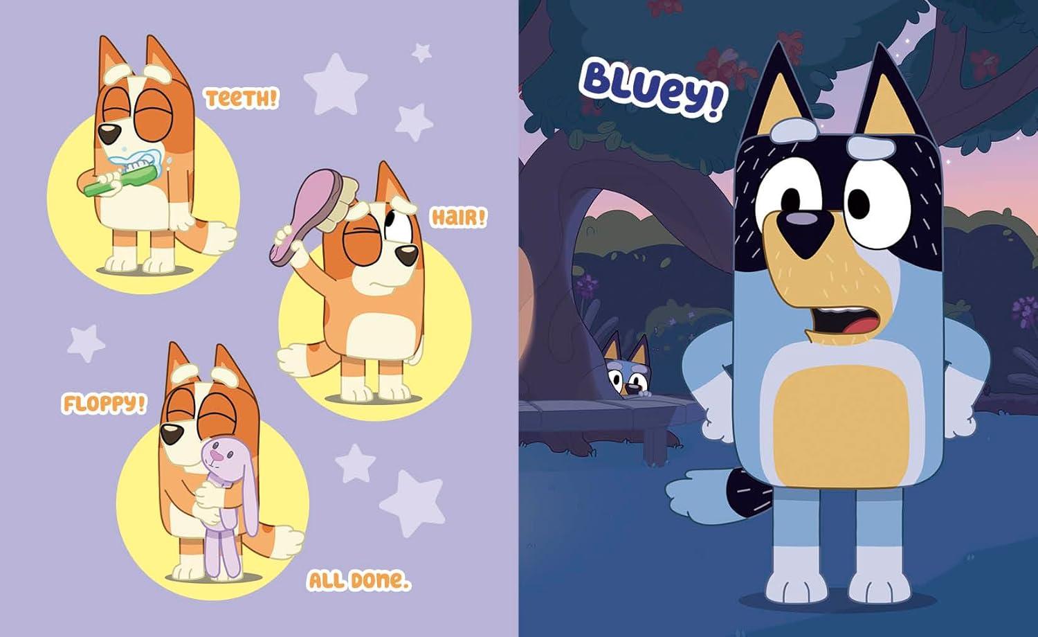 imageLove from Bluey