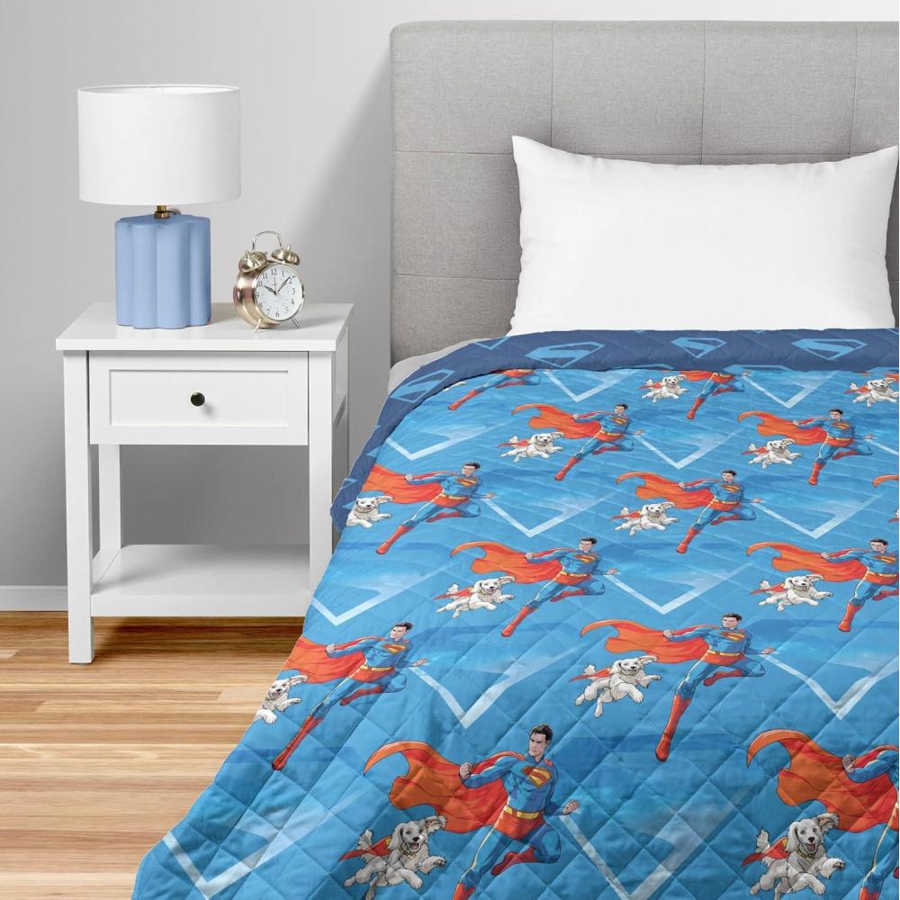 imageNorthwest Bluey Balloon Celebration Quilted Throw Blanket Official Cartoon Throw Blanket Featuring Bluey for Adults Boys Girls Bed Couch or Playroom 60 x 80 InchesAbove Metropolis