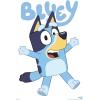 Bluey – Bluey Feature Series Wall Poster, 19L” x 13W”, Premium Unframed Version(Premium Unframed Version)