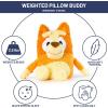 Jay Franco Weighted Bluey Plush Pillow Buddy – 2.5 lbs Soft Plushie Stuffed Pillow, 17 Inches, Orange – Bingo