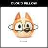 Northwest Bingo Cloud Pillow, Soft Bluey Character Plush Pillow, for Boys and Girls, 11″ x 11″