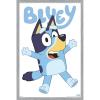 Bluey – Bluey Feature Series Wall Poster, 19L” x 13W”, Premium Unframed Version(Gray Framed Version)