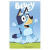 Bluey – Hey Wall Poster, 22.4L” x 14.7W”, Premium Unframed Version(White Framed Version)