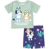 Bluey Bingo Girls T-Shirt and Shorts Outfit Set Toddler to Big Kid(Green / Blue)
