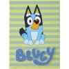 Bluey Canvas Wall Art and Décor with 3D Tufting,Kids Bedroom or Playroom Wall Decoration, 11″ W x 15″ H(Bluey)