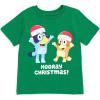 Bluey July 4th Halloween Christmas Birthday School Heart T-Shirt Infant to Big Kid Sizes (12 Months – 10-12)(Green)