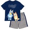 Bluey T-Shirt and Mesh Shorts Outfit Set Infant to Big Kid Sizes (12 Months – 10-12)(Blue / Silver)