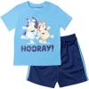 Bluey T-Shirt and Mesh Shorts Outfit Set Infant to Big Kid Sizes (12 Months – 10-12)(Blue)
