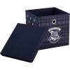 Idea Nuova Bluey Collapsible Fabric Storage Cube,10” Organizer Bin with Lid for Bedroom, Playroom, and Closet(Harry Potter)