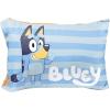 Blue - Bluey