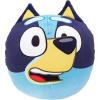 Northwest Bluey Cloud Pillow, 11″ x 11″, Happy Bluey