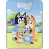 Northwest Bluey Micro Raschel Throw Blanket, 46″ x 60″, Family Photo(Family Photo)