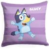 Northwest Bluey Pillow, 18″ x 18″, Roll Call Coco(Roll Call Bluey)