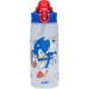 Zak Designs Bluey Sage Kids Water Bottle For School or Travel, 16oz Durable Plastic Water Bottle With Straw, Handle, and Leak-Proof, Pop-Up Spout Cover (Bluey & Bingo)(Sonic)