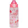 Zak Designs Bluey Sage Kids Water Bottle For School or Travel, 16oz Durable Plastic Water Bottle With Straw, Handle, and Leak-Proof, Pop-Up Spout Cover (Bluey & Bingo)(Hello Kitty)