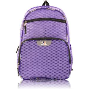 Bluey Backpack for Kids | Bluey and Bingo Bookbag for Girls, Boys, Unisex | Toddler Travel Bag, Mesh Cordura Lightweight Backpack | Ages 3+(Bluey)