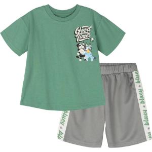 Bluey T-Shirt and Mesh Shorts Outfit Set Infant to Big Kid Sizes (12 Months – 10-12)(Sage Green / Gray)