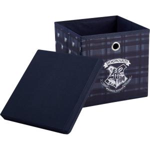 Idea Nuova Bluey Collapsible Fabric Storage Cube,10” Organizer Bin with Lid for Bedroom, Playroom, and Closet(Harry Potter)