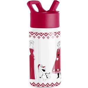 Simple Modern Kids Summit Water Bottle with Straw Lid | Bluey 14oz Stainless Steel Cup Insulated Tumbler for Toddlers, School| Bluey Checkmate(Disney-Frozen Red Dress Winter)