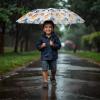 Bluey Umbrella for Kids(Bluey)