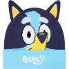 Bluey Bandit and Chilli Toddler Hat with Winter Mittens for Kids – Warm Winter Hat for Toddler with Kids Mittens Blue Grey(Bluey Winter Hat)