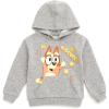 Bluey Girls Fleece Hoodie Toddler to Big Kid Sizes (2T – 14-16)(Heather Gray  Bingo)