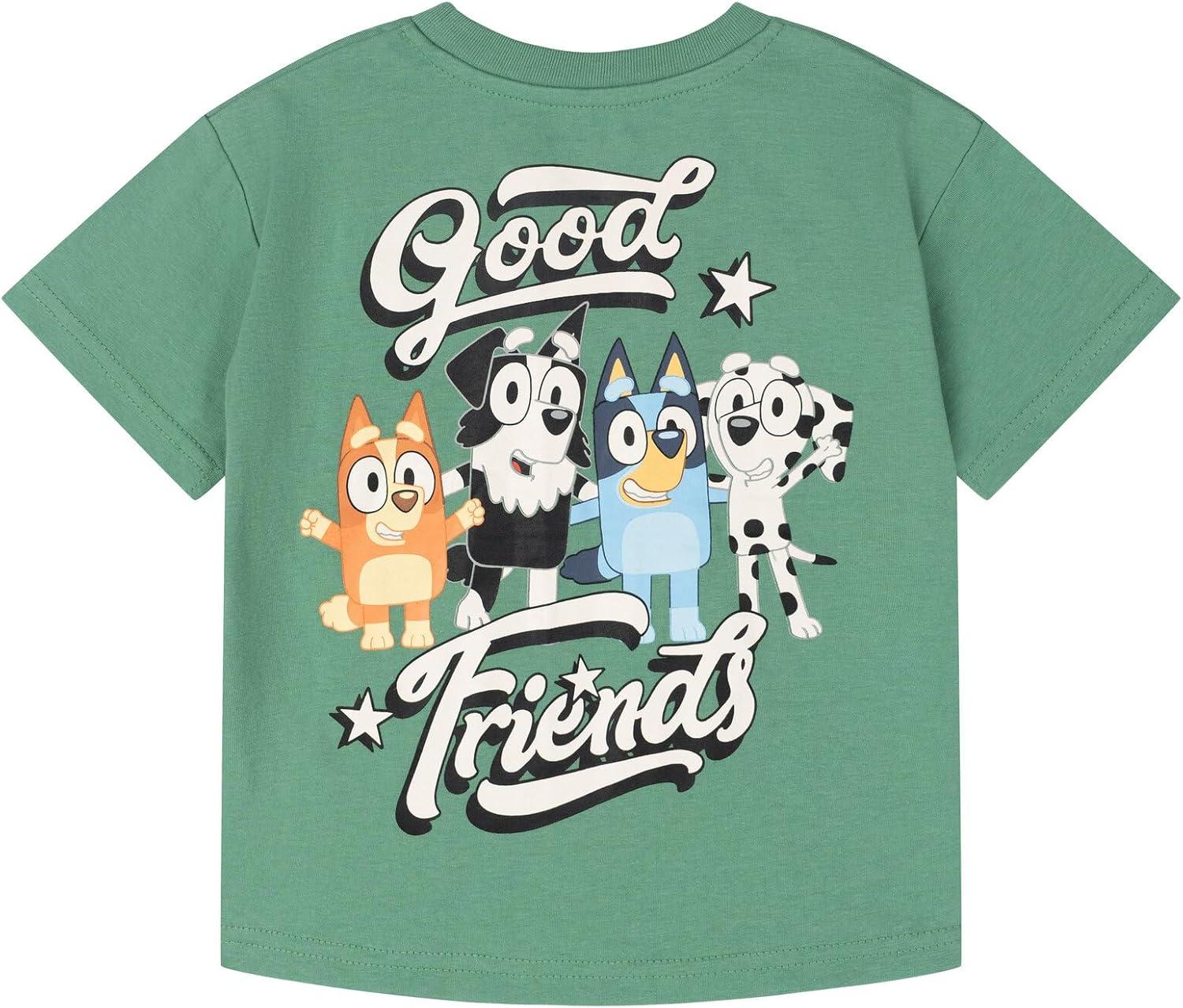 image:imageBluey TShirt and Pants Outfit Set Toddler to Little Kid Sizes 2T 78Sage Green Gray