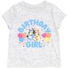 Bluey Floral Birthday T-Shirt and Mesh Tulle Skirt Outfit Set Infant to Big Kid Sizes (12 Months – 10-12)(Heather Gray / Sky Blue)