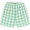 Bluey Girls T-Shirt and Chambray Shorts Outfit Set Toddler to Big Kid Sizes (2T – 10-12)(White / Green)