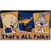 Gertmenian Bluey Coir Doormat – 2×3 Welcome Mat (2-Pack), Ideal for High Traffic Areas in Front Door, Garage, Entryway – Hi/Bluey Patch, 80072(Looney Tunes Doc/Folks)
