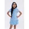 Bluey Girls Loop Terry Cloth Hooded Swim Coverup Toddler to Big Kid Sizes (2T – 10-12)(Blue)