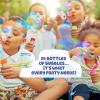 BLUEY 4-Ounce Bubbles Party Toy with Wand (Pack of 24)(BLUEY)