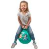 Hedstrom Hopper Ball, Jumping Ball for Kids, 15 Inch, Bluey(Bluey)