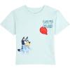 Bluey Drop Shoulder T-Shirt and Shorts Outfit Set Toddler to Big Kid Sizes (2T – 10-12)(Soft Aqua Green / Blue)