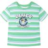 Bluey T-Shirt and French Terry Denim Shorts Outfit Set Newborn to Little Kid Sizes (0-3 Months – 5)(Green / Blue)