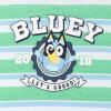 Bluey T-Shirt and French Terry Denim Shorts Outfit Set Newborn to Little Kid Sizes (0-3 Months – 5)(Green / Blue)